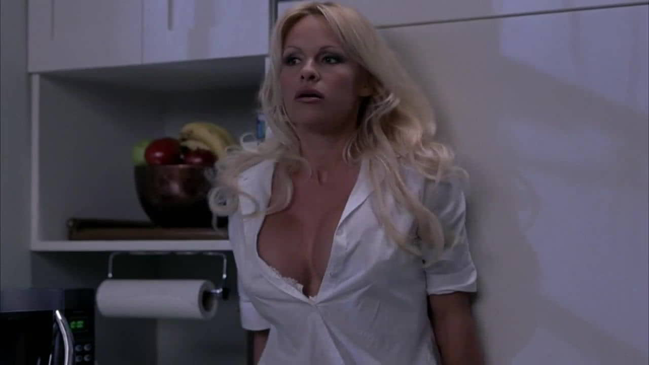 Pamela Anderson Scary Movie 3 (4)